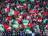 Feyenoord - FC Twente in uitverkochte Kuip