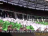 HISTORY | "Feyenoord, we houden van die club" spandoeken-reeks (2017)