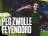 Samenvatting PEC Zwolle - Feyenoord (0-2)